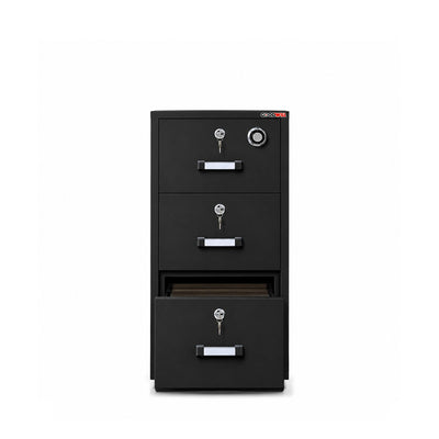 Goodwill FC-30 Electronic & Combination Filing Cabinet