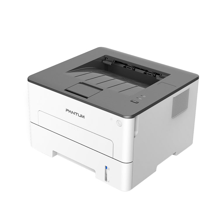 Pantum P3010D Mono laser single function printer