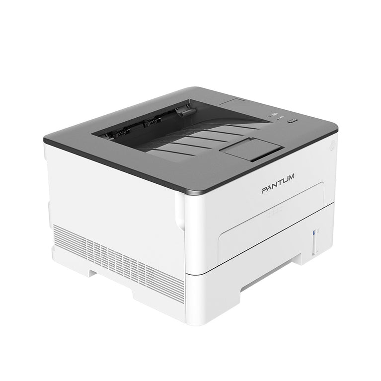 Pantum P3010D Mono laser single function printer