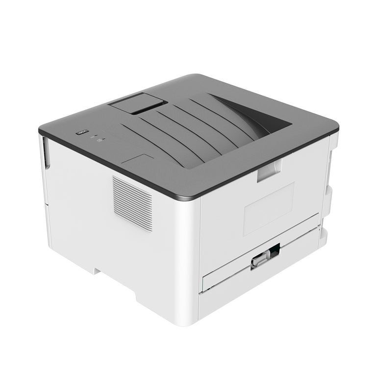 Pantum P3010D Mono laser single function printer